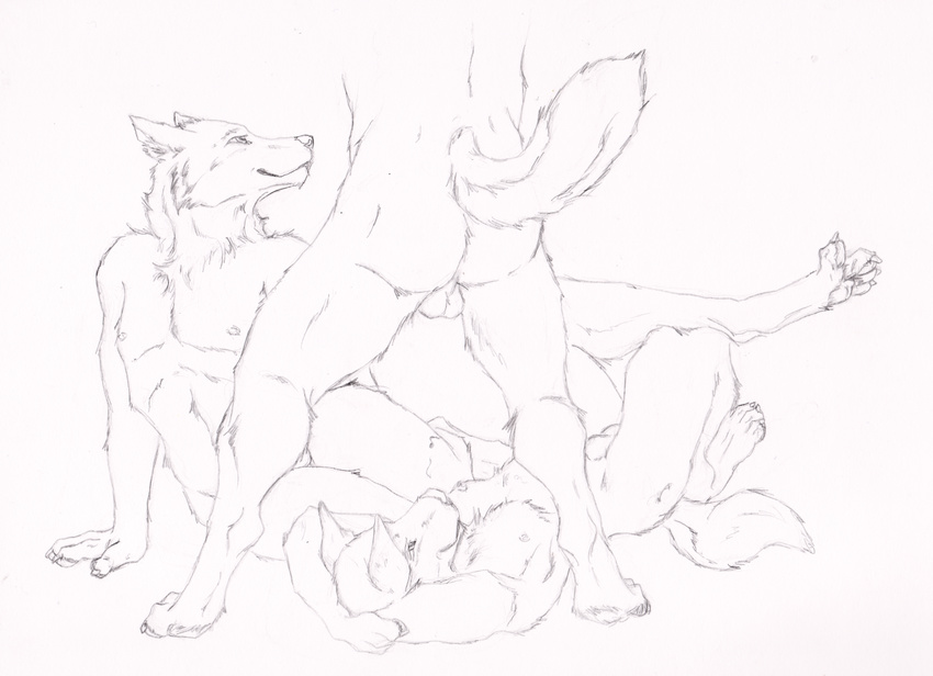 anthro balls black_and_white butt canine claws flaccid hindpaw looking_up lying male mammal monochrome nipples nude on_back paws penis plain_background semiotica sheath smile standing thighs