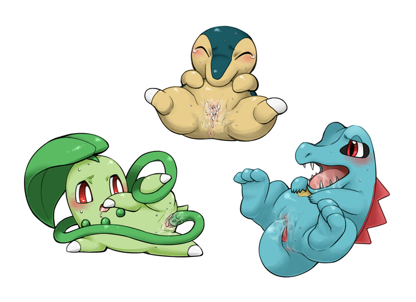 chikorita cyndaquil komeko pokemon totodile