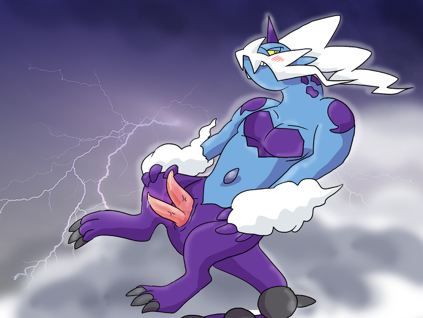 mycrunchycookie pokemon tagme thundurus