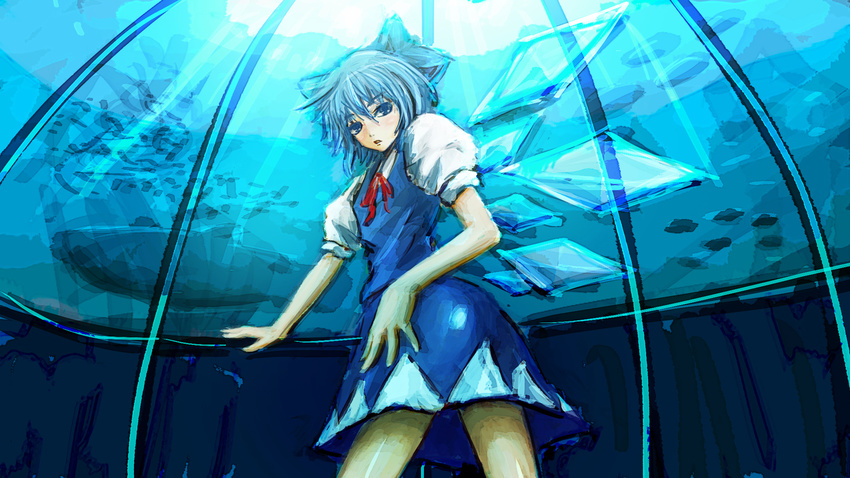 blue_hair cirno highres ribbon same_2009 short_hair solo touhou wings