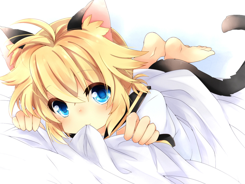 animal_ears bad_id bad_pixiv_id blonde_hair blue_eyes cat_ears cat_tail chewing highres kagamine_len leeannpippisum male_focus smile solo tail vocaloid