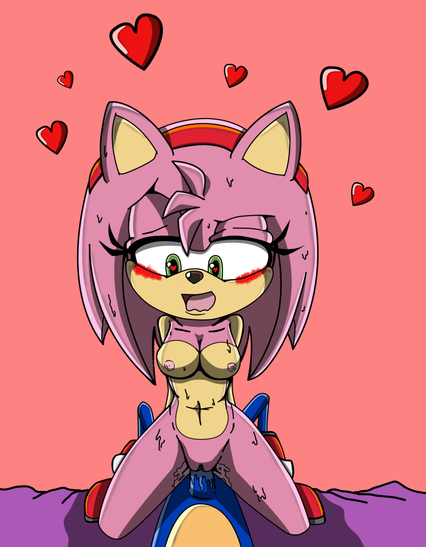 amy_rose blush cowgirl_position duo erection eulipotyphlan female hedgehog hedgies lewdsharx male mammal on_top penis pussy riding sex sonic_(series) sonic_the_hedgehog