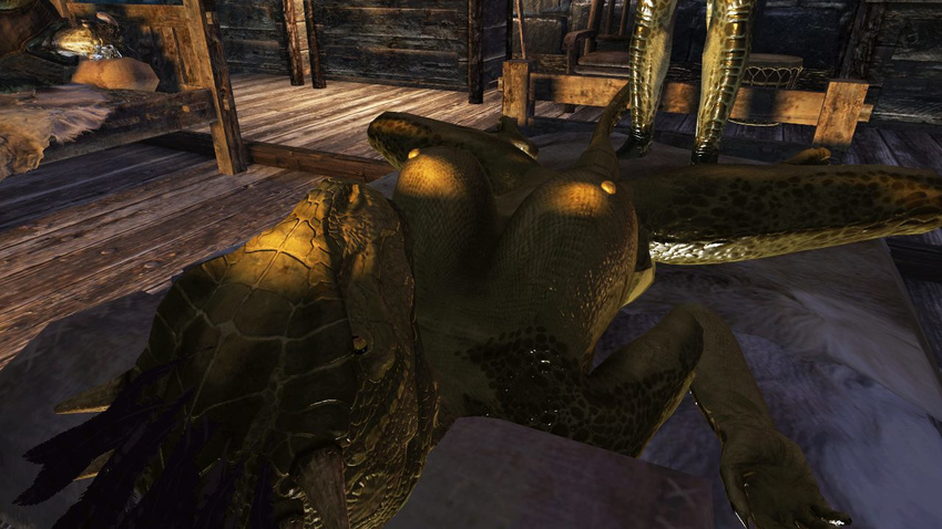 argonian skyrim tagme the_elder_scrolls