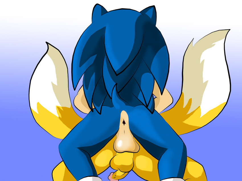 anal anthro canine domination duo fox fox_tail gay hedgehog jetfrozen male mammal miles_prower multiple_tails penis sega sex sonic_(series) sonic_the_hedgehog sontails submissive tails