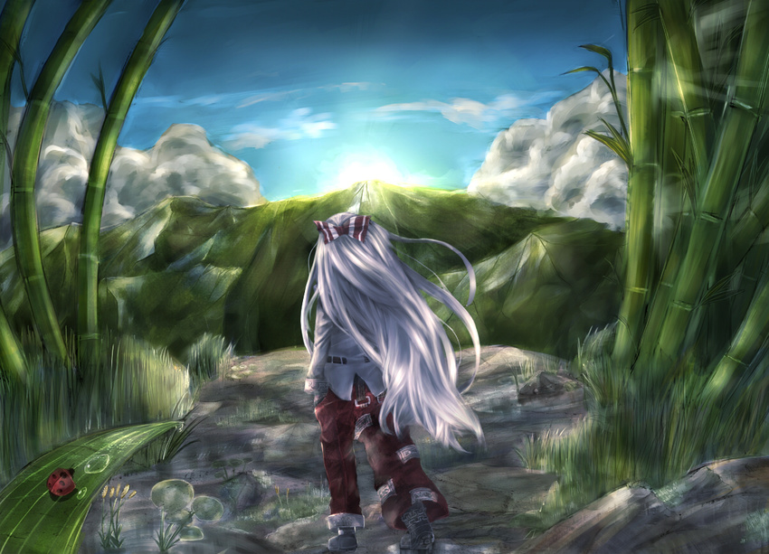 bamboo boots bow bug cloud from_behind fujiwara_no_mokou grass hair_bow insect ladybug long_hair mountain nature pants ribbon scenery silver_hair sky solo touhou touro water