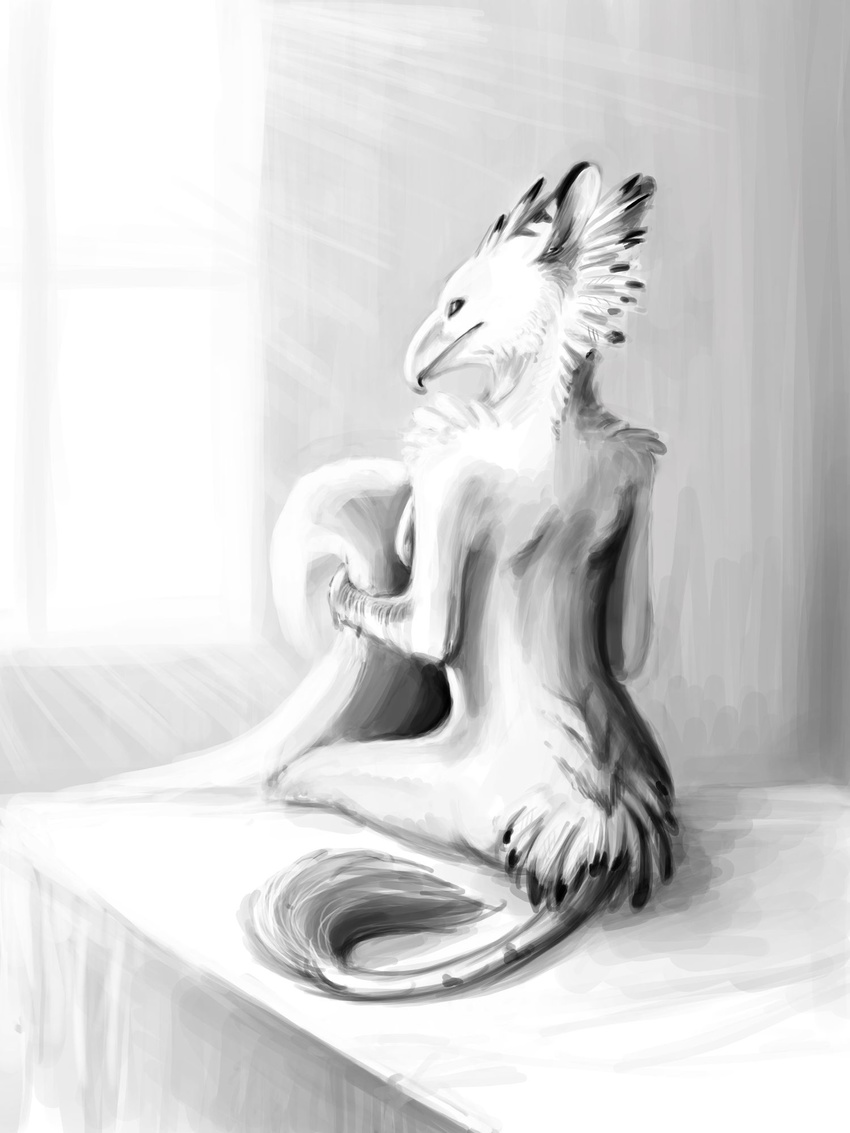 avian beak bed black blajn blajn_(character) blanket blush breasts butt claws feathers female gryph000 gryphon invalid_tag light looking_at_viewer looking_back mane monochrome nude pillow plain_background smile solo white wide_hips