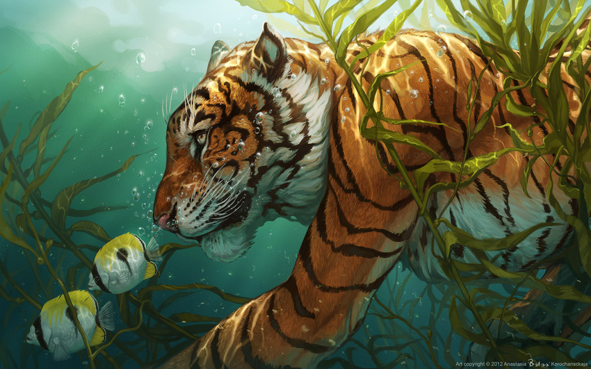 balaa bubble diving feline fish fur green_background keone light male mammal marine orange_fur plain_background sea seaweed swimming tiger underwater wallpaper water whiskers yellow_eyes