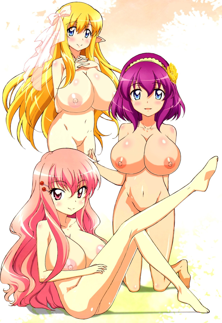 alternate_breast_size elf henrietta_de_tristain large_breasts louise_francoise_le_blanc_de_la_valliere naked nipples nude nude_filter photoshop tiffania_westwood zero_no_tsukaima