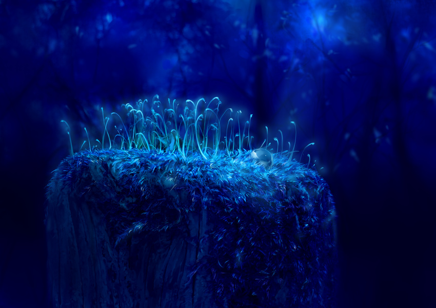 bad_pixiv_id forest highres moss nature night no_humans original scenery tree water water_drop