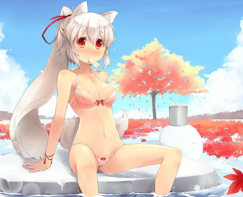 alternate_hair_length alternate_hairstyle animal_ears areola_slip areolae blush bra breasts collarbone food groin hair_ribbon inubashiri_momiji long_hair medium_breasts mouth_hold navel panties petals ponytail popsicle ribbon shin_(new) sitting soaking_feet solo tail touhou tree underwear underwear_only water wet wet_clothes wet_panties white_hair wolf_ears wolf_tail