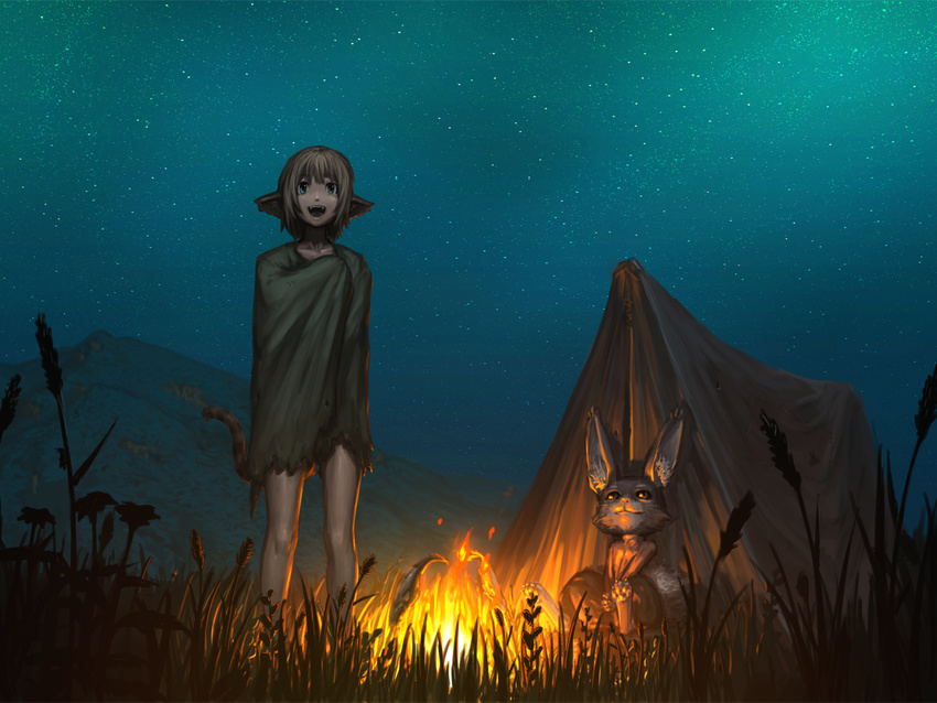 androgynous animal_ears blue_eyes brown_hair cat_ears cat_tail fang fire night night_sky open_mouth original short_hair sky smile standing star_(sky) tail tent yoshikawa_hazure