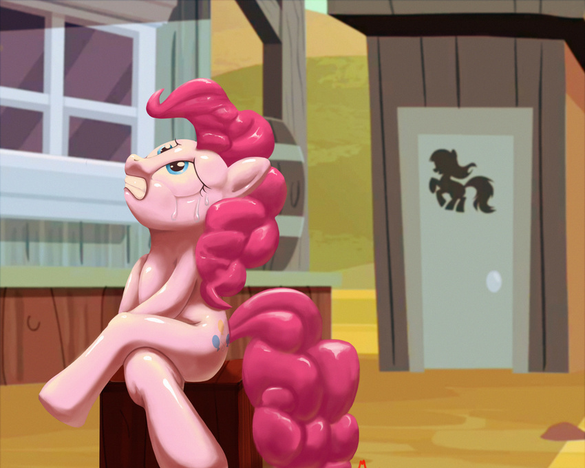 blue_eyes building cutie_mark equine female feral friendship_is_magic hair horse mammal my_little_pony outhouse outside pink_hair pinkie_pie_(mlp) pony sitting solo sweat tears themotaro