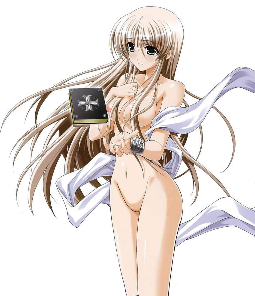 lily_strosek mahou_senki_lyrical_nanoha_force mahou_shoujo_lyrical_nanoha naked nipples photoshop