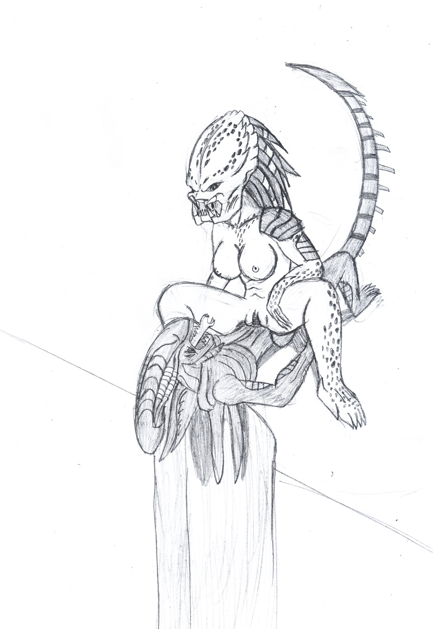 alien(movie) alien_(franchise) alien_vs_predator avp black_and_white breasts cowgirl_position female greyscale interspecies male monochrome nipples on_top penetration plain_background predator(movie) predator_(franchise) sex straddling straight unknown_artist versus white_background xenomorph yautja