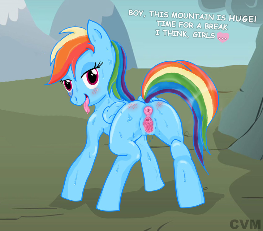 &lt;3 anus butt c-v-m dialog english_text equine female feral friendship_is_magic hair mammal multi-colored_hair my_little_pony outside pegasus pussy rainbow_dash rainbow_dash_(mlp) rainbow_hair solo sweat text wings