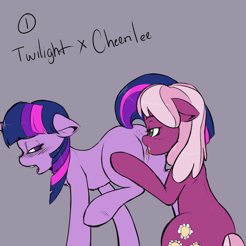 cheerilee friendship_is_magic my_little_pony spitt twilight_sparkle