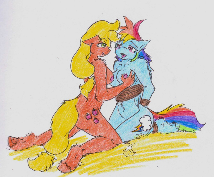 applejack friendship_is_magic my_little_pony nekotigerfire rainbow_dash