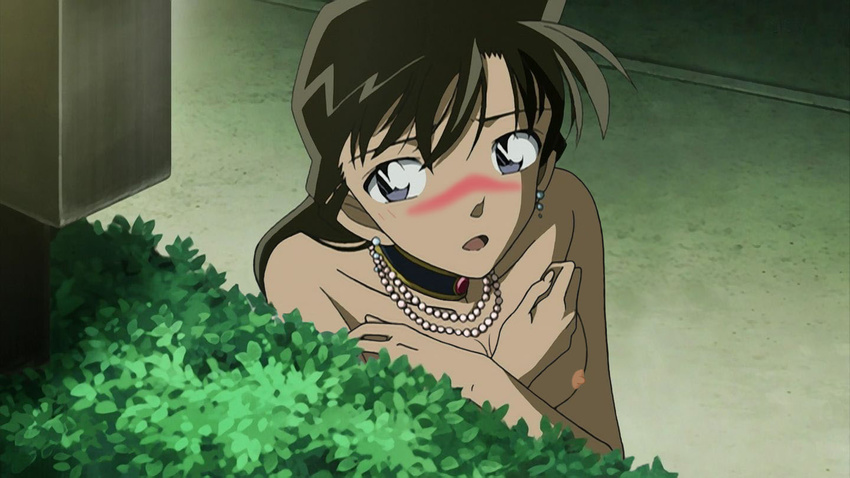 detective_conan ran_mouri tagme