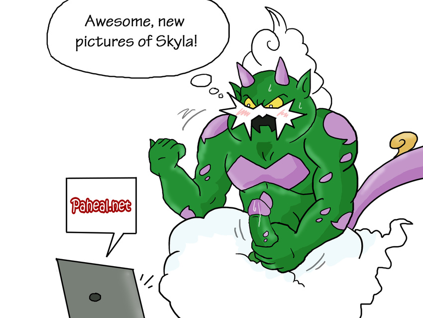 mycrunchycookie pokemon tagme tornadus