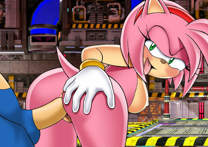 amy_rose sonic_team sonic_the_hedgehog tagme