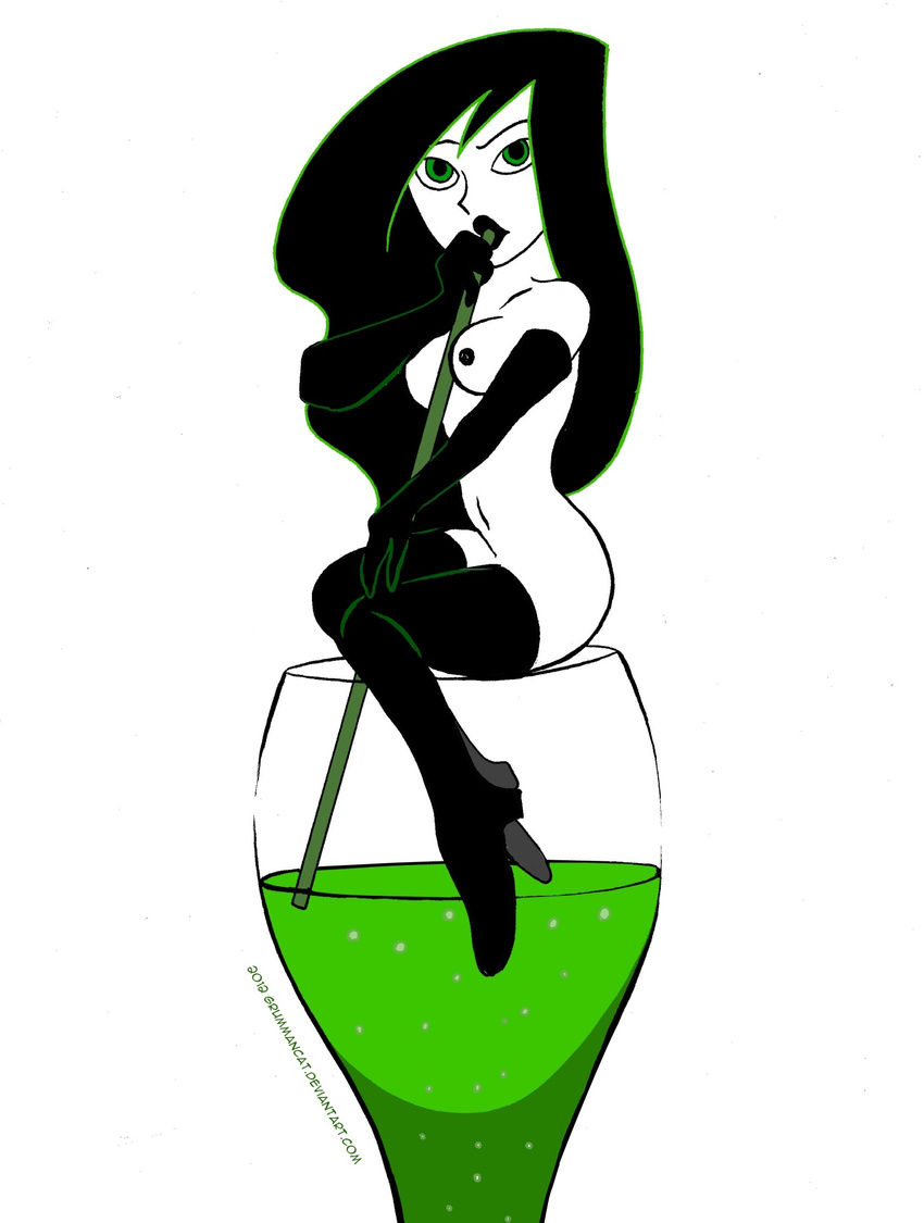 grummancat kim_possible shego tagme