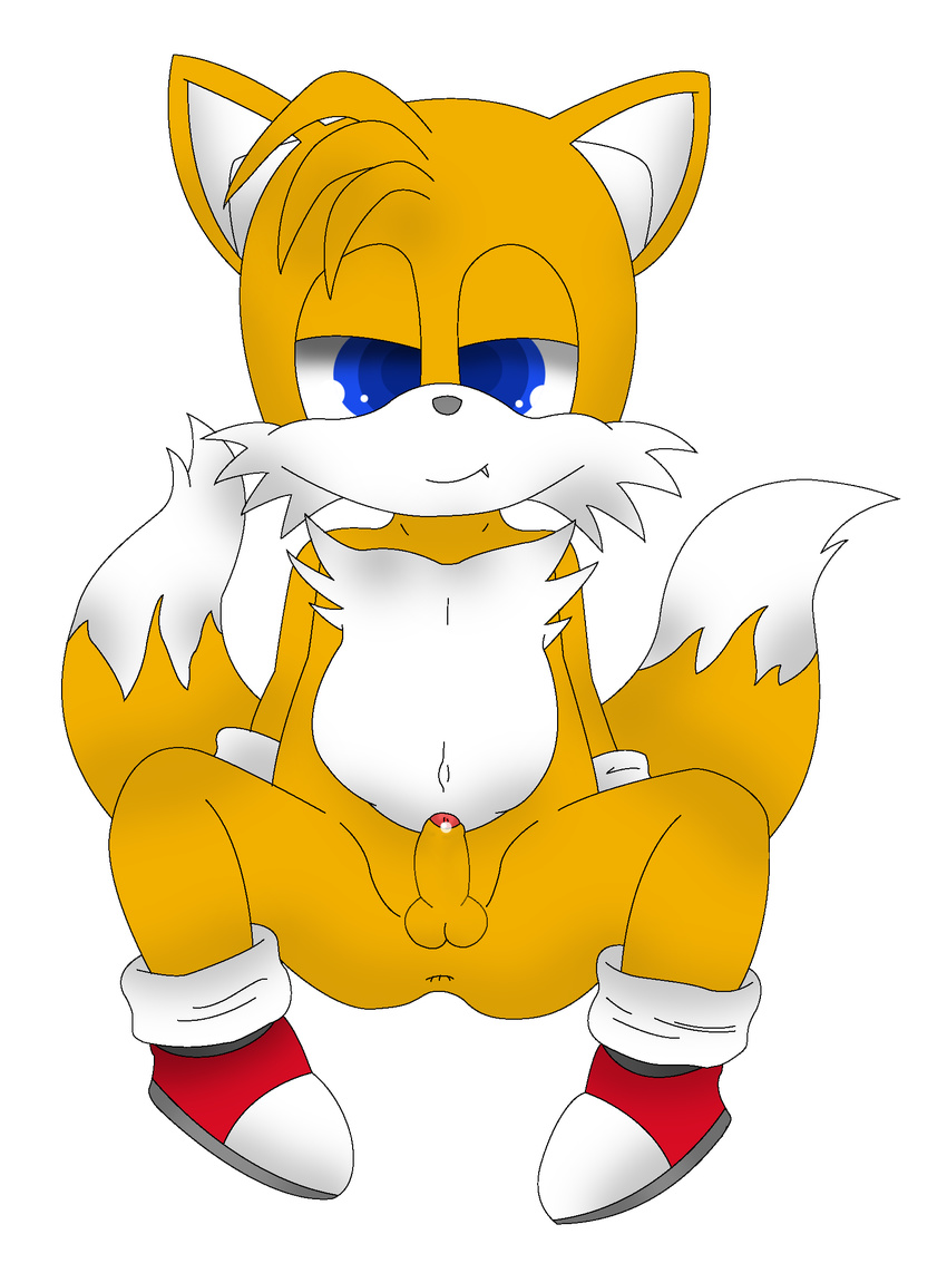 bluelimelight sonic_team tagme tails