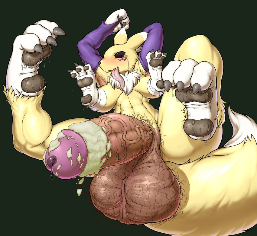 digimon renamon tagme wrong