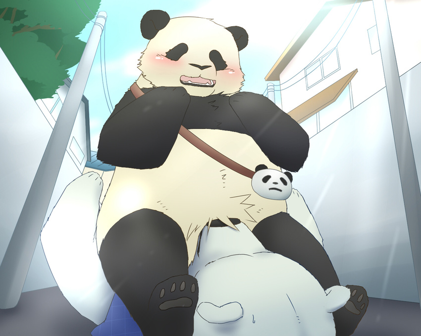 panda polar_bear shirokuma shirokuma_cafe tagme