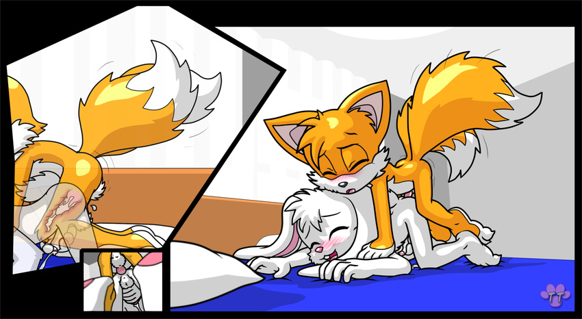 sonic_team tagme tails twotails