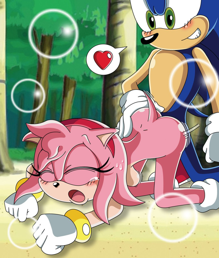 amy_rose sonic_team sonic_the_hedgehog tagme