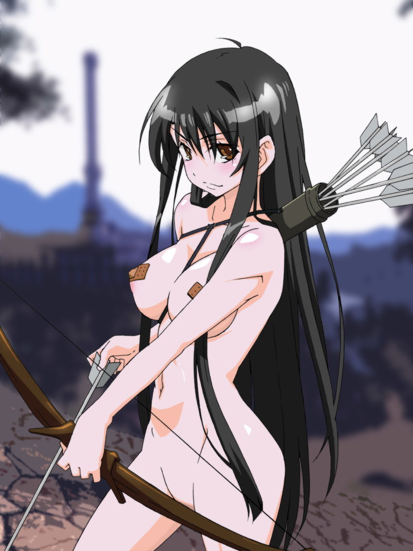 arrow bandaid bandaids_on_nipples black_hair blush bow_(weapon) breasts brown_eyes convenient_censoring highres large_breasts long_hair looking_at_viewer pasties quiver smile solo the_elder_scrolls the_elder_scrolls_iv:_oblivion very_long_hair weapon yuukami_(wittsu)