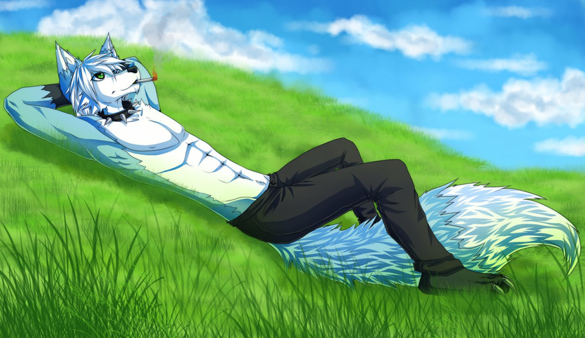 anthro blue blue_fur canine chaoticicewolf fur grass hair koorimizu male mammal relaxing smoking solo wolf wolfy