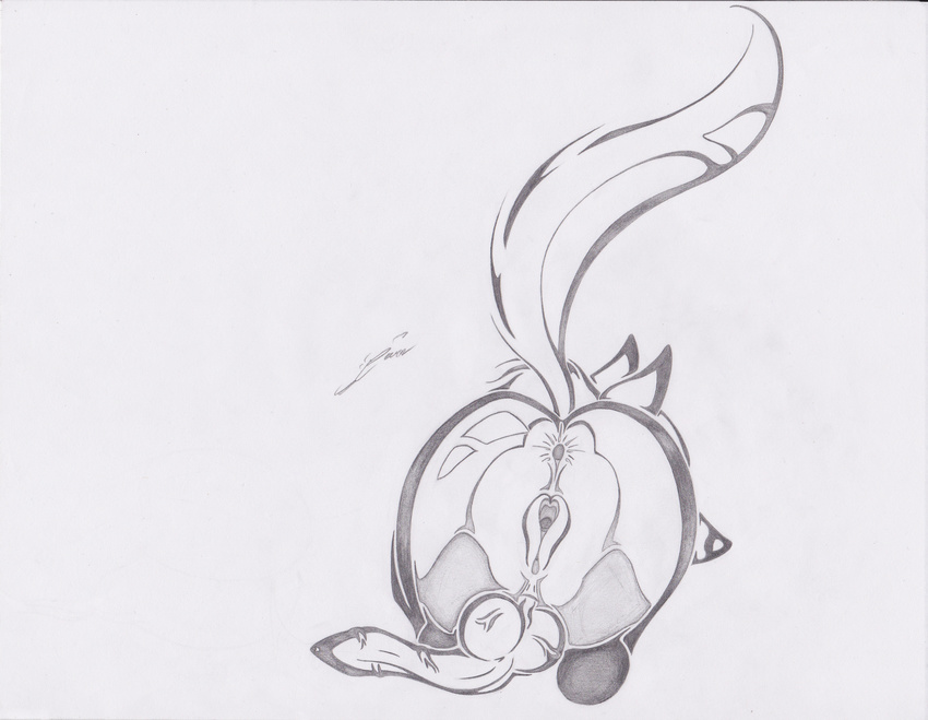 balls butt canine flower_fox fox herm intersex knot magnificent-arsehole mammal nude penis plain_background presenting pussy sketch solo tribal