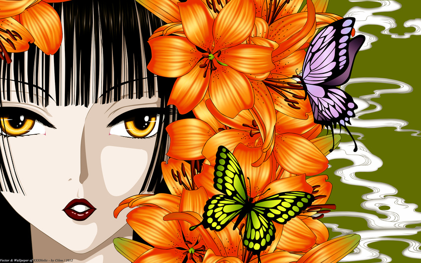 butterfly close flowers japanese_clothes vector xxxholic