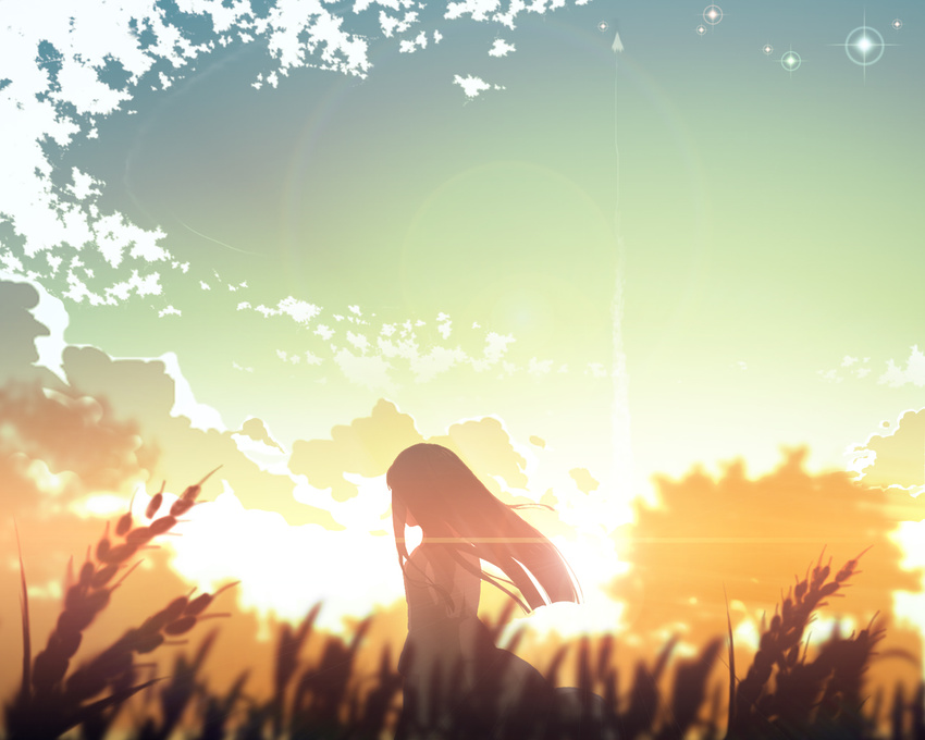 aircraft backlighting bad_id bad_pixiv_id baro blurry cloud condensation_trail depth_of_field field from_behind lens_flare liftoff long_hair original scenery sky solo star_(sky) sun sunset wallpaper wheat