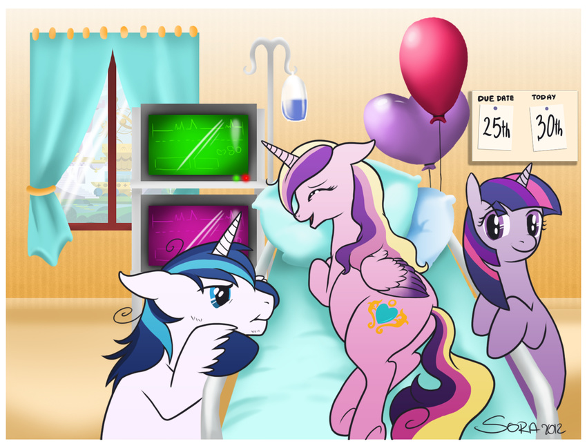 balloon bed black-namer borrowsoul brother_and_sister couple cutie_mark equine eyes_closed female feral friendship_is_magic group hair horn horse male mammal multi-colored_hair my_little_pony pillow pony pregnant princess_cadance_(mlp) purple_eyes shining_armor_(mlp) sibling twilight_sparkle_(mlp) unicorn window winged_unicorn wings