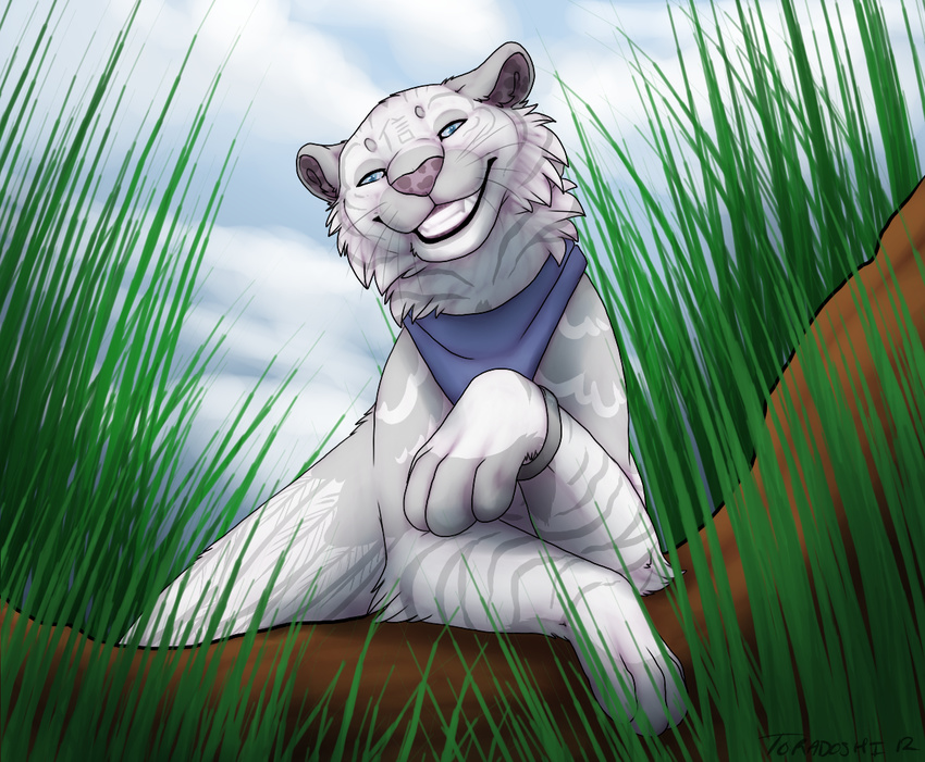 feline female feral looking_at_viewer mammal markings outside smile solo tiger toradoshi whiskers white_tiger