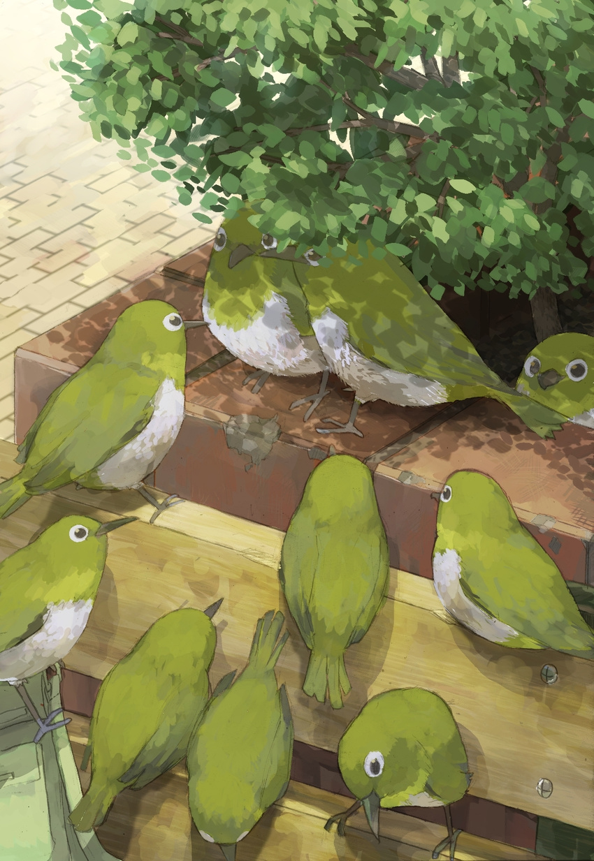 bad_pixiv_id bird bush doghome from_above highres japanese_white-eye no_humans original pavement running_bond