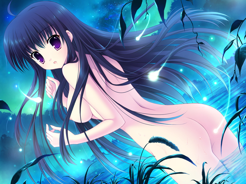 ass game_cg long_hair mitha nanawind night nude purple_eyes purple_hair water yuyukana yuyuzuki_ako