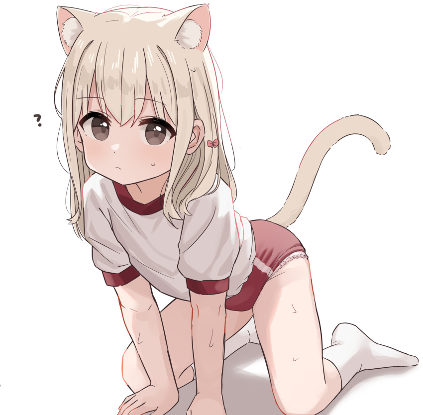 1girl ? all_fours animal_ears blonde_hair brown_eyes buruma cat_ears cat_girl closed_mouth commentary_request flat_chest frown gachigachi gym_shirt gym_uniform highres long_hair looking_at_viewer no_shoes original paid_reward_available panties panties_under_buruma panty_peek parfait_(gachigachi) puffy_short_sleeves puffy_sleeves red_buruma shadow shirt short_sleeves simple_background socks solo underwear white_background white_shirt white_socks