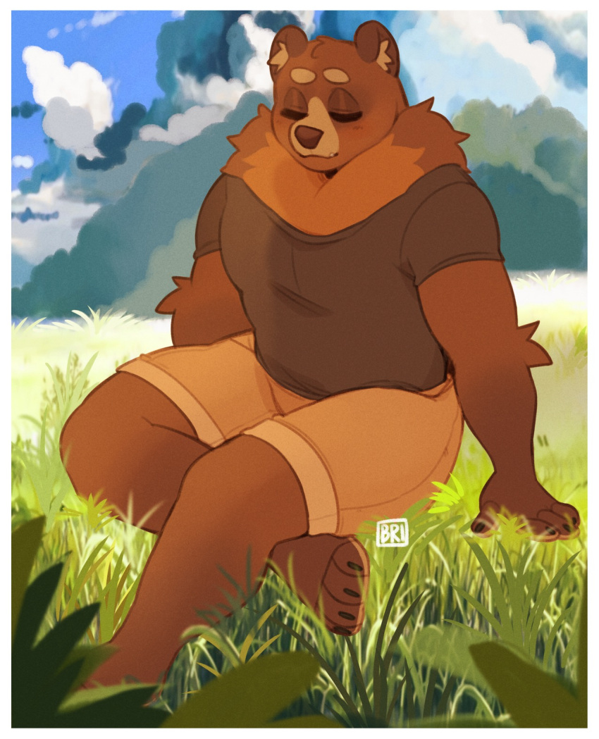 4_fingers 4_toes anthro bear blais border bottomwear brown_body brown_fur brown_inner_ear_fluff brown_nose clothed clothing cloud eyes_closed feet fingers fur grass hi_res illustration inner_ear_fluff male mammal neck_tuft outside plant punkinbuu shirt shorts sitting solo toes topwear tuft white_border