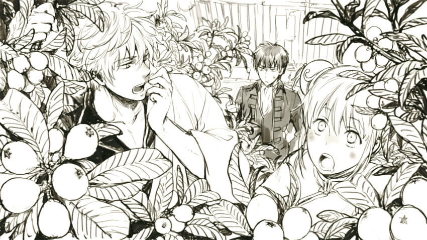 2boys bad_id bad_pixiv_id blush bun_cover double_bun drooling food fruit gintama hijikata_toushirou japanese_clothes kagura_(gintama) monochrome multiple_boys open_mouth plant sakata_gintoki short_hair tkr_(lovedelic99)