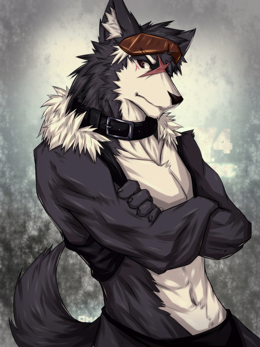 abs anthro biceps big_muscles brown_eyes canine chest_tuft clothed clothing collar dog eyewear fur fur_trim goggles grey_fur husky kiba-wolf male mammal muscles open_shirt pants pecs pose scar shirt skimpy solo standing tuft vest waistcoat white_fur