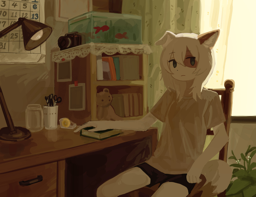 1girl animal_ears backlighting black_shorts book bookshelf calendar_(object) camera cat_ears cat_girl cat_tail chair closed_mouth curtains desk desk_lamp expressionless fish fish_tank furry furry_female hair_between_eyes highres hikousen11 indoors jar lamp original plant potted_plant scissors shirt short_shorts shorts sitting solo stuffed_animal stuffed_toy t-shirt tail tape_dispenser teddy_bear white_hair window