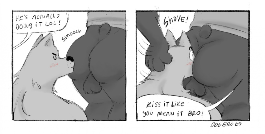 anthro balls bear butt butt_in_face canid canine dogbro69 duo genitals hi_res kissing_butt male male/male mammal punishment