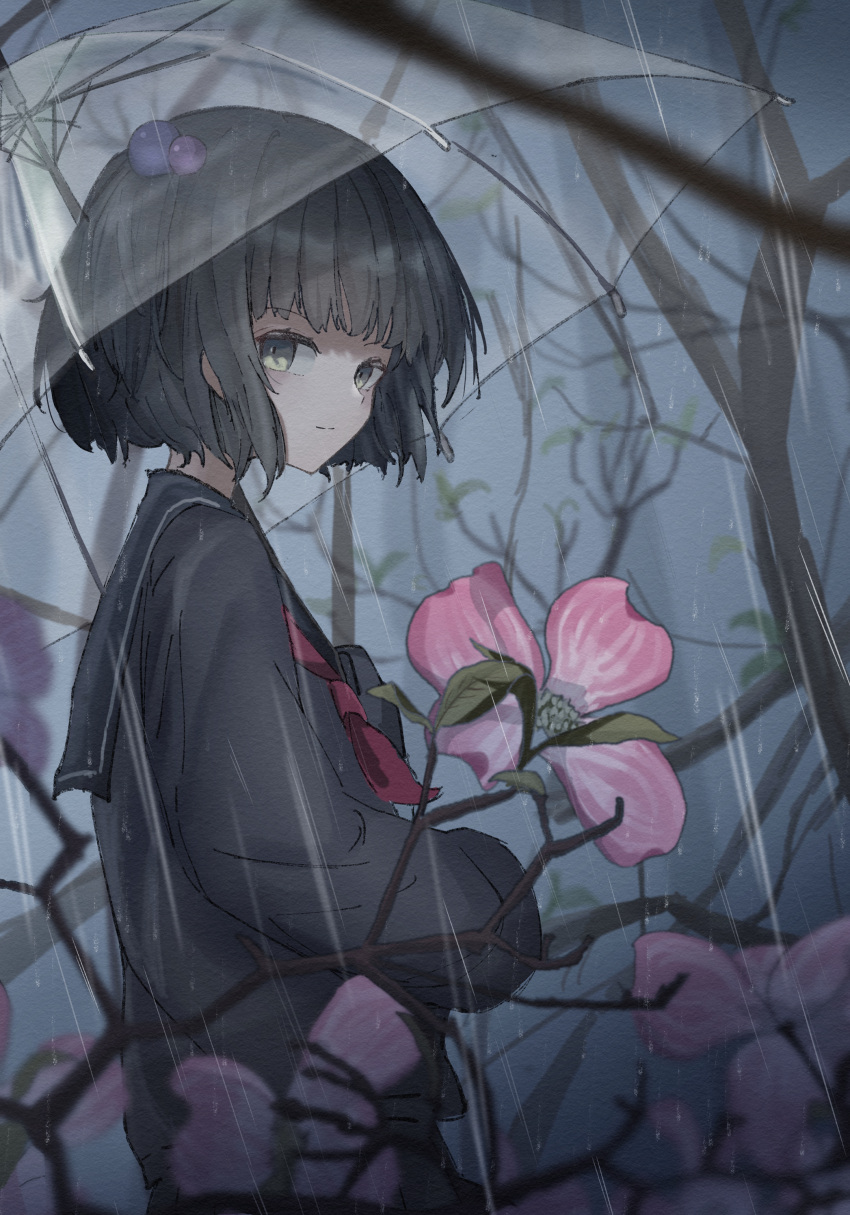 1girl absurdres amemori_sayo black_hair black_sailor_collar black_serafuku black_shirt black_skirt branch cherry_blossoms closed_mouth cowboy_shot forest from_side green_eyes highres holding holding_umbrella long_bangs long_sleeves looking_at_viewer nature neckerchief night nijisanji one_side_up outdoors rain red_neckerchief sailor_collar school_uniform seikatsu serafuku shirt short_hair skirt smile solo transparent transparent_umbrella tree umbrella virtual_youtuber