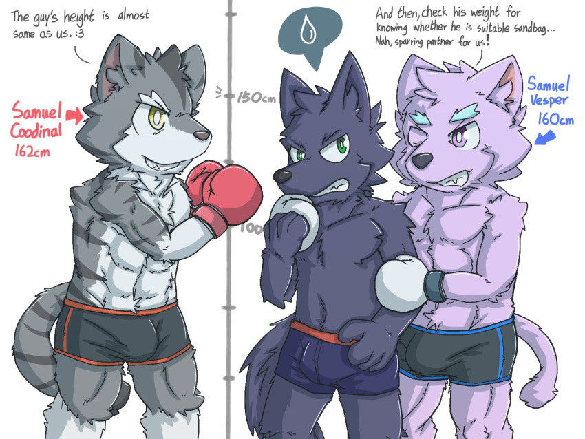 abs anthro athletic athletic_male boxer_briefs boxer_briefs_only boxing_gloves bulge canid canine canis clothed clothing domestic_cat english_text exciting felid feline felis group handwear hi_res male mammal nervous nifram_logan one_eye_closed plasticer1 samuel_coodinal_(plasticer1) samuel_vesper_(plasticer1) text topless trio underwear underwear_only wink wolf