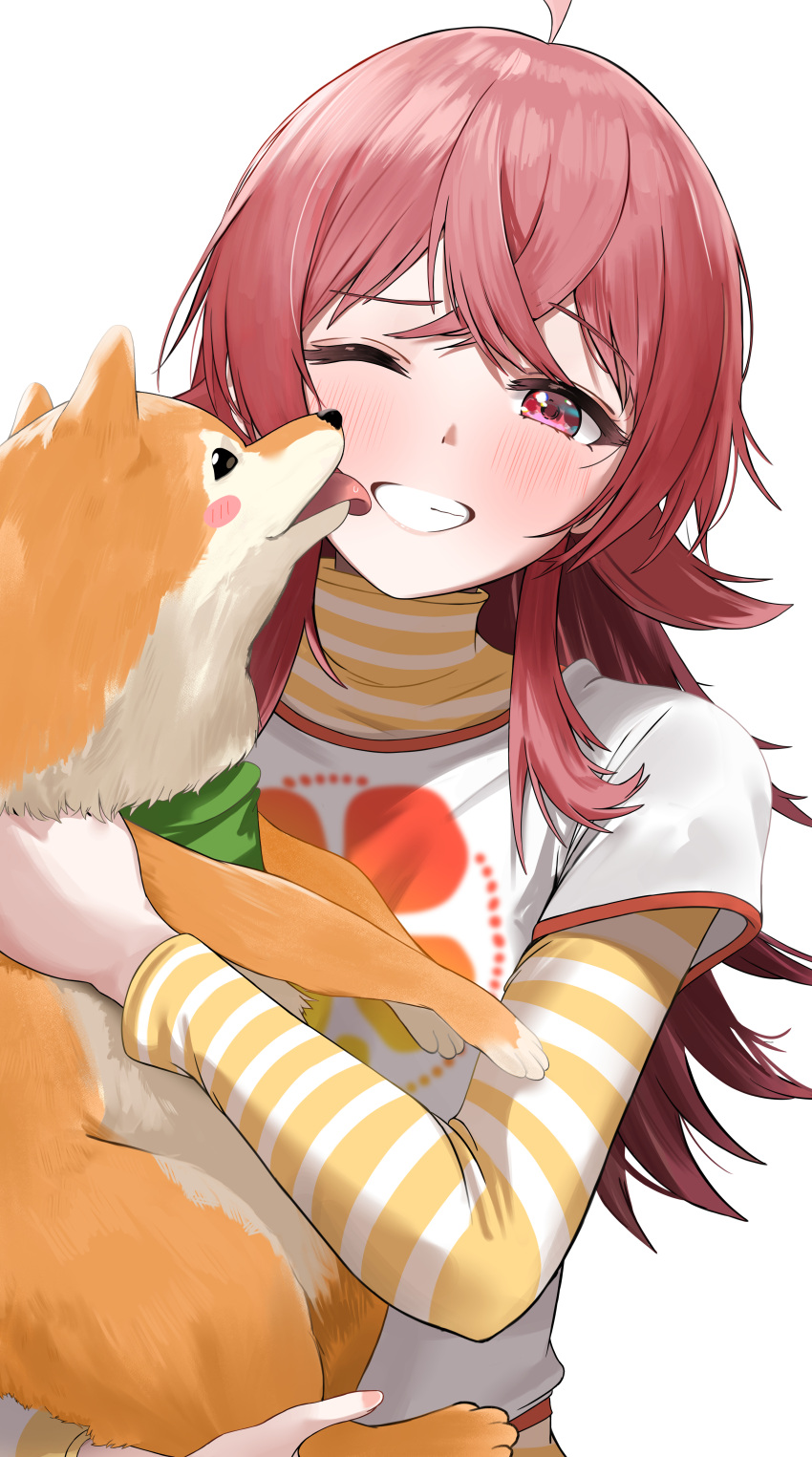 1girl absurdres ahoge animal blush crossed_bangs dog hair_between_eyes highres holding holding_animal idolmaster idolmaster_shiny_colors komiya_kaho medium_hair one_eye_closed pdal_(pdalhhh) red_eyes red_hair shirt simple_background smile turtleneck turtleneck_shirt upper_body white_background white_shirt yellow_shirt