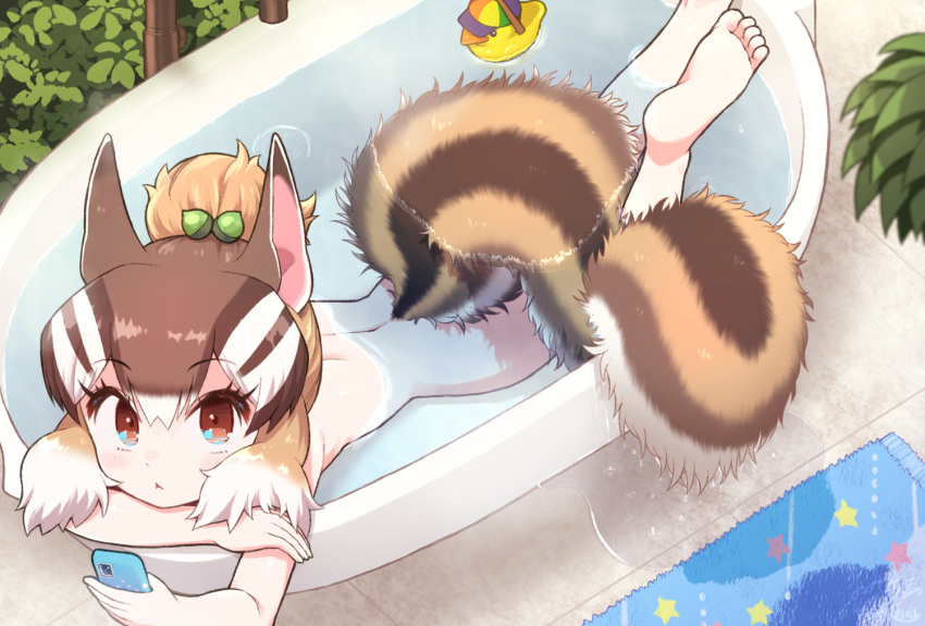 1girl animal_ears bath bathing bathroom bathtub brown_eyes brown_hair cellphone chipmunk_ears chipmunk_girl chipmunk_tail extra_ears kemono_friends kemono_friends_v_project kitsunetsuki_itsuki looking_at_viewer multicolored_hair phone ponytail siberian_chipmunk_(kemono_friends) smartphone solo tail two-tone_hair virtual_youtuber white_hair