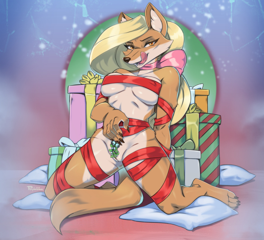 anthro bound breasts canid canine christmas claws countershading female finger_claws fox genitals gift hair hi_res holidays kneeling licking licking_lips looking_at_viewer mammal purplelemons pussy solo tail tongue tongue_out